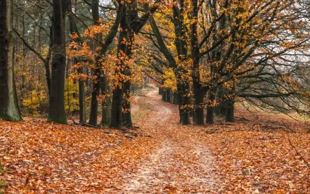 Еженедельный дайджест Адмитад. 20-24 октября