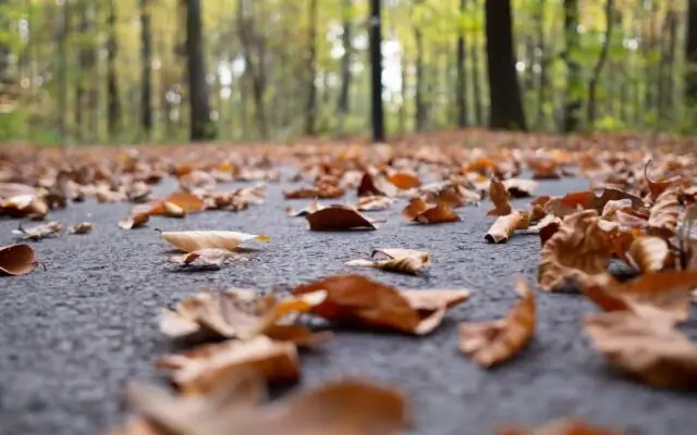 Еженедельный дайджест Адмитад. 24-28 ноября