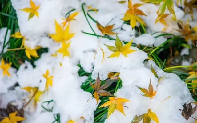 Дайджест новостей 10-16 ноября