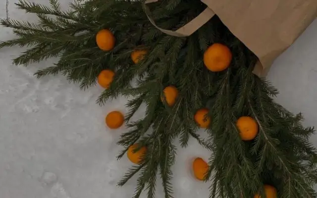 Дайджест новостей Адмитад. 1-5 декабря