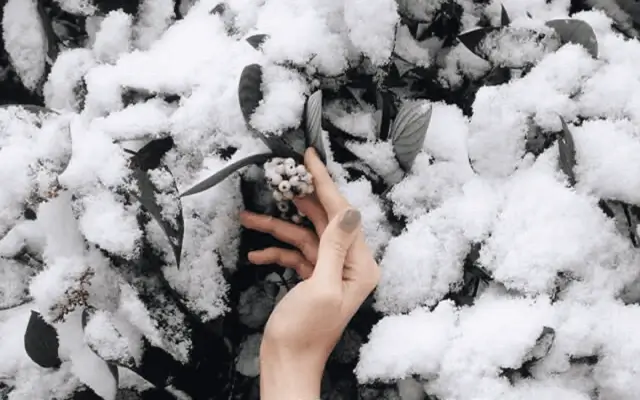 Дайджест новостей Адмитад. 15-19 декабря.