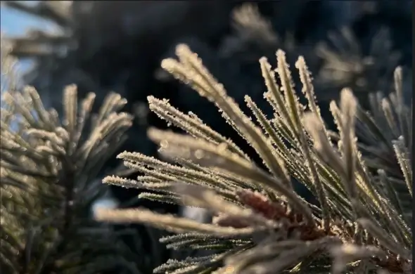 Дайджест новостей Адмитад. 8-12 декабря