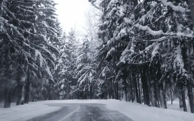 Еженедельный дайджест. 26 января — 1 февраля