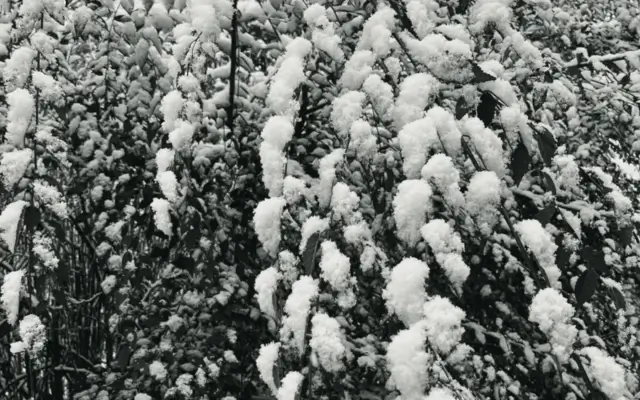 Еженедельный дайджест. 19-25 января