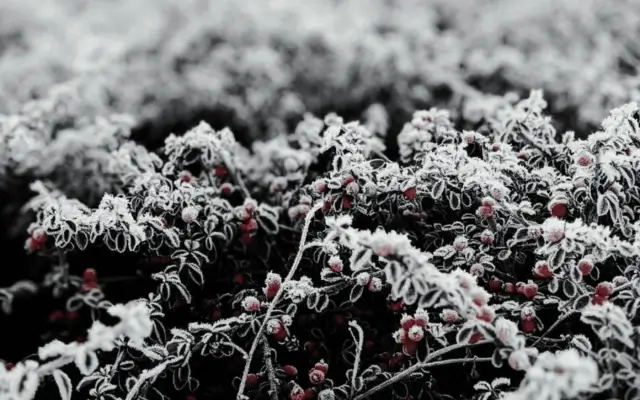 Еженедельный дайджест Адмитад. 9-15 февраля