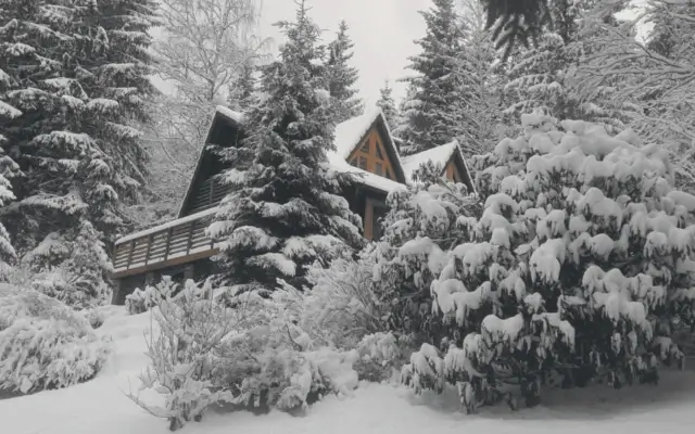 Еженедельный дайджест Адмитад. 2-8 февраля