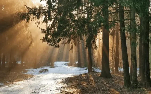 Еженедельный дайджест Адмитад. 16 — 22 марта.