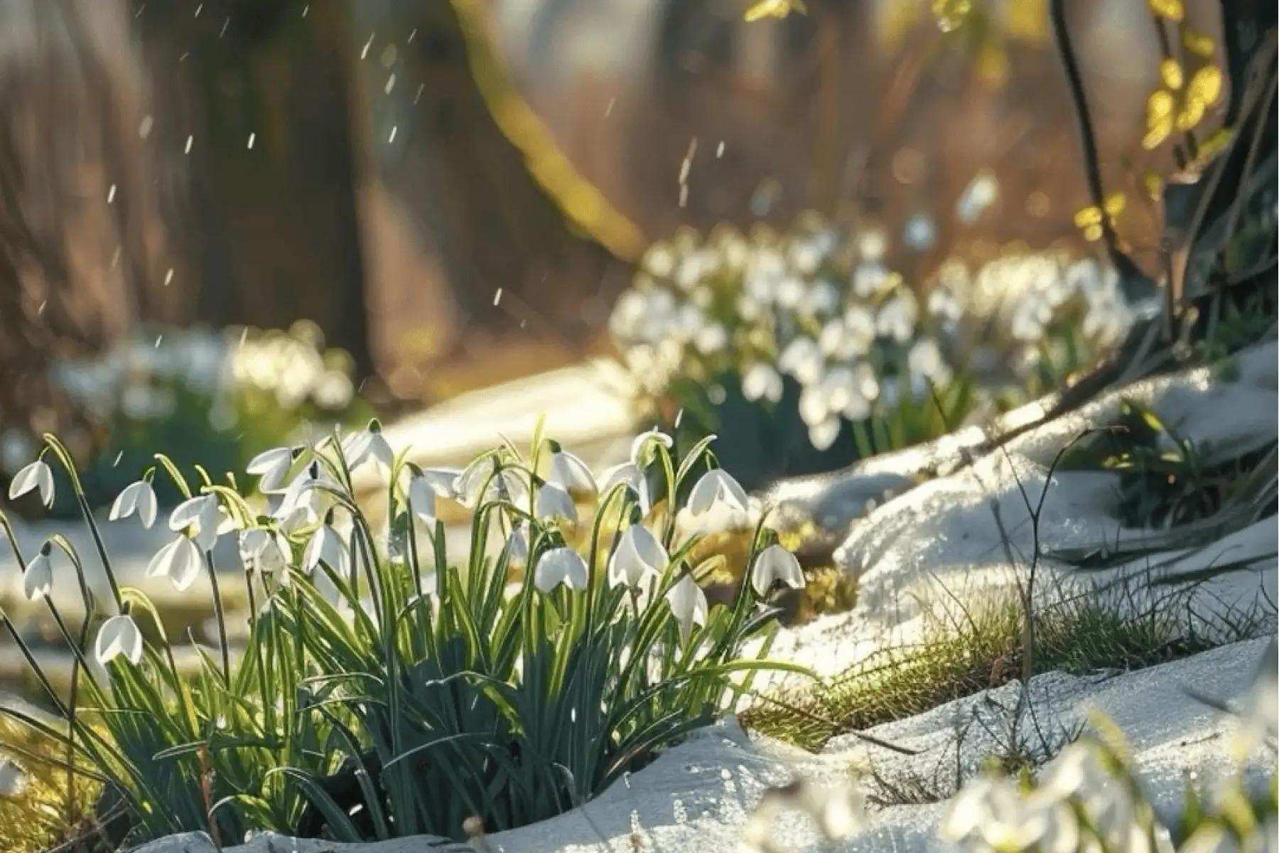 Еженедельный дайджест Адмитад. 2 — 8 марта