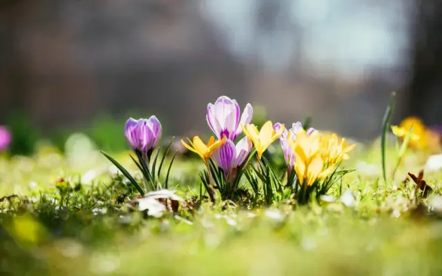 Еженедельный дайджест Адмитад. 6-12 апреля